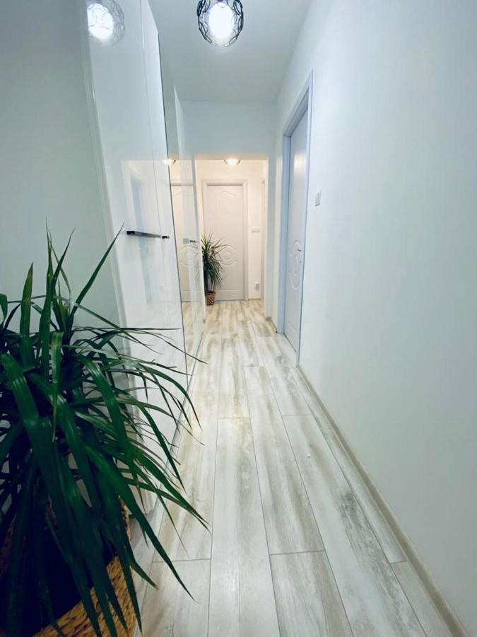 Central Palace Suites Iasi Eksteriør billede